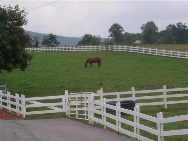 Farm and Ranch
