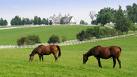 Farm and Ranch Insurance